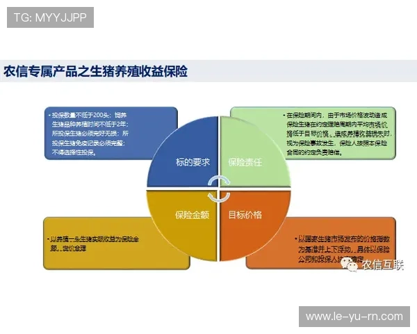 斯通斯未来前景备受关注,新动态引发行业热议