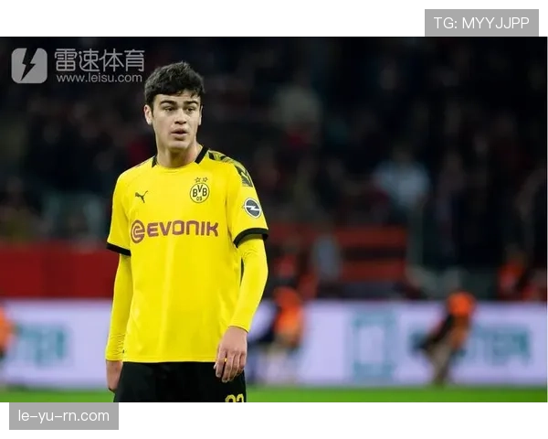 多特蒙德发布雄心勃勃未来规划，剑指全球顶尖足球俱乐部