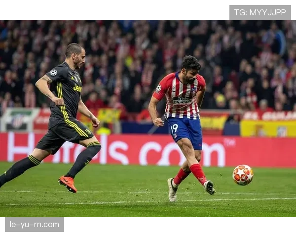 西甲科利塞乌姆球场新赛季点燃激情，精彩对决引爆球迷期待